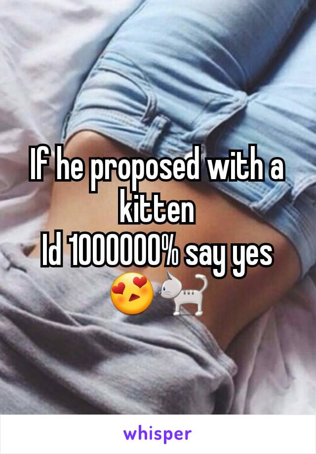 If he proposed with a kitten
Id 1000000% say yes😍🐈