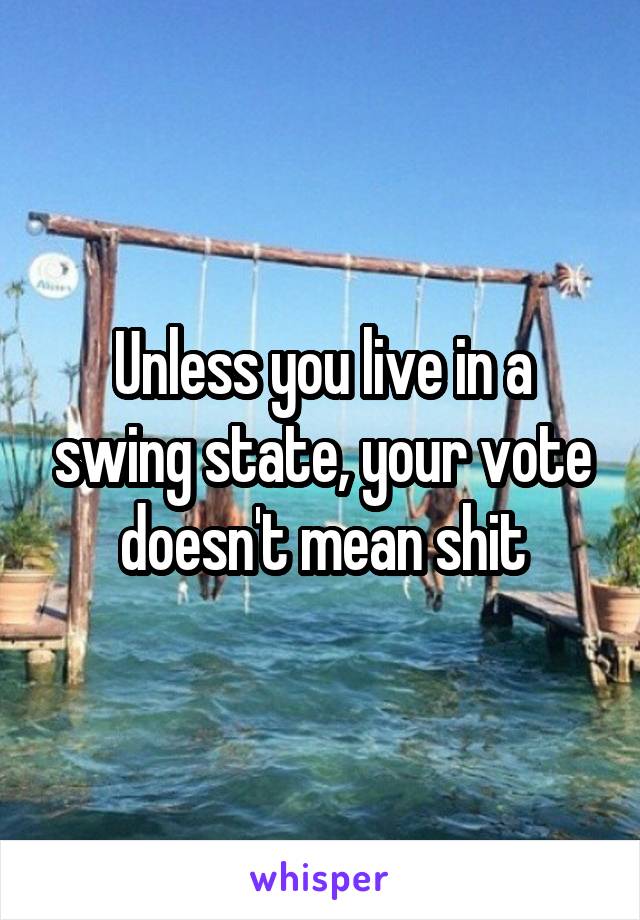 Unless you live in a swing state, your vote doesn't mean shit