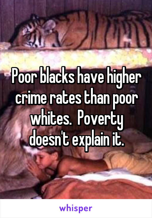 Poor blacks have higher crime rates than poor whites.  Poverty doesn't explain it.