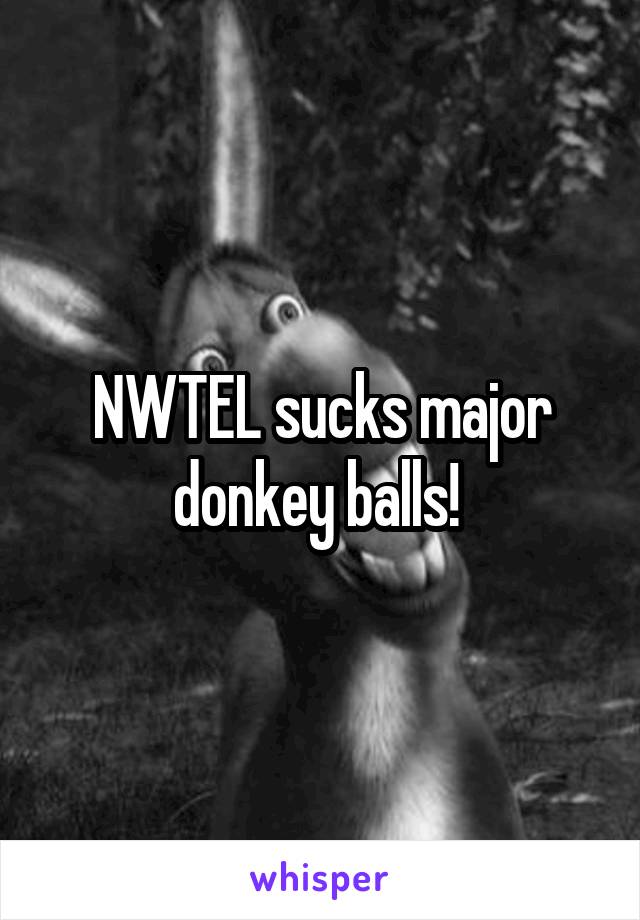 NWTEL sucks major donkey balls! 