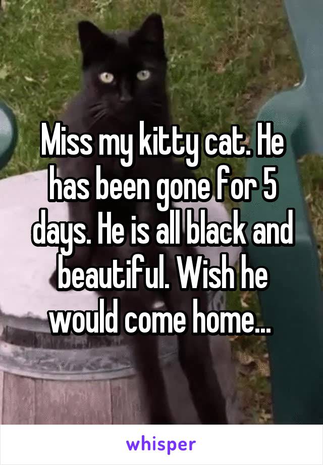 Miss my kitty cat. He has been gone for 5 days. He is all black and beautiful. Wish he would come home... 