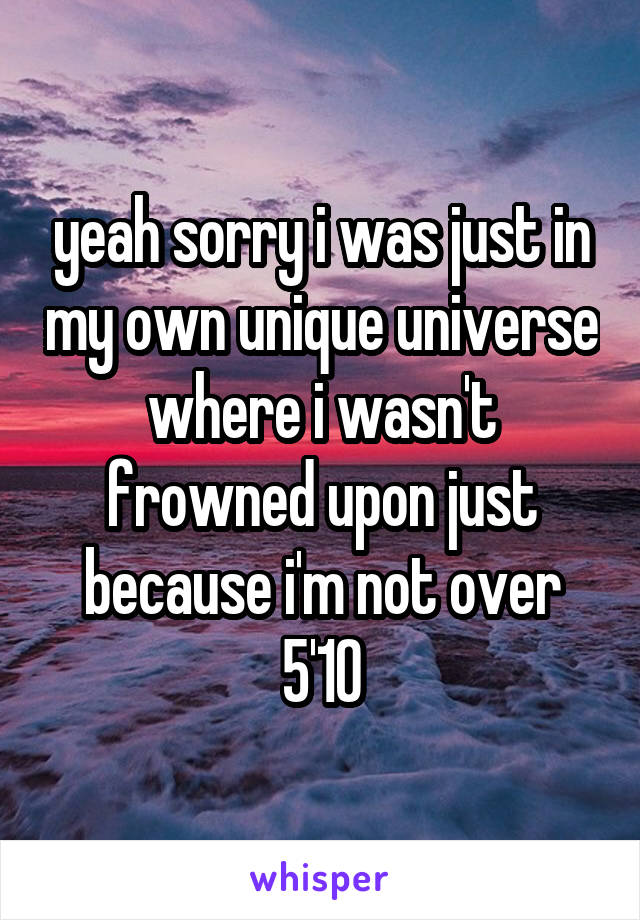 yeah sorry i was just in my own unique universe where i wasn't frowned upon just because i'm not over 5'10