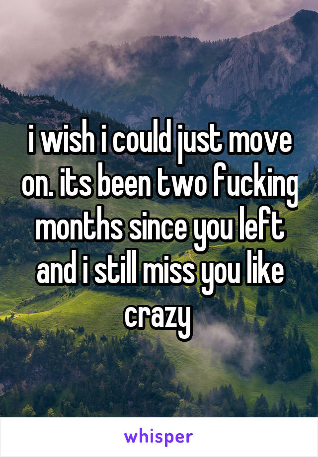 i wish i could just move on. its been two fucking months since you left and i still miss you like crazy 