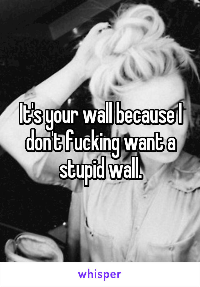 It's your wall because I don't fucking want a stupid wall.