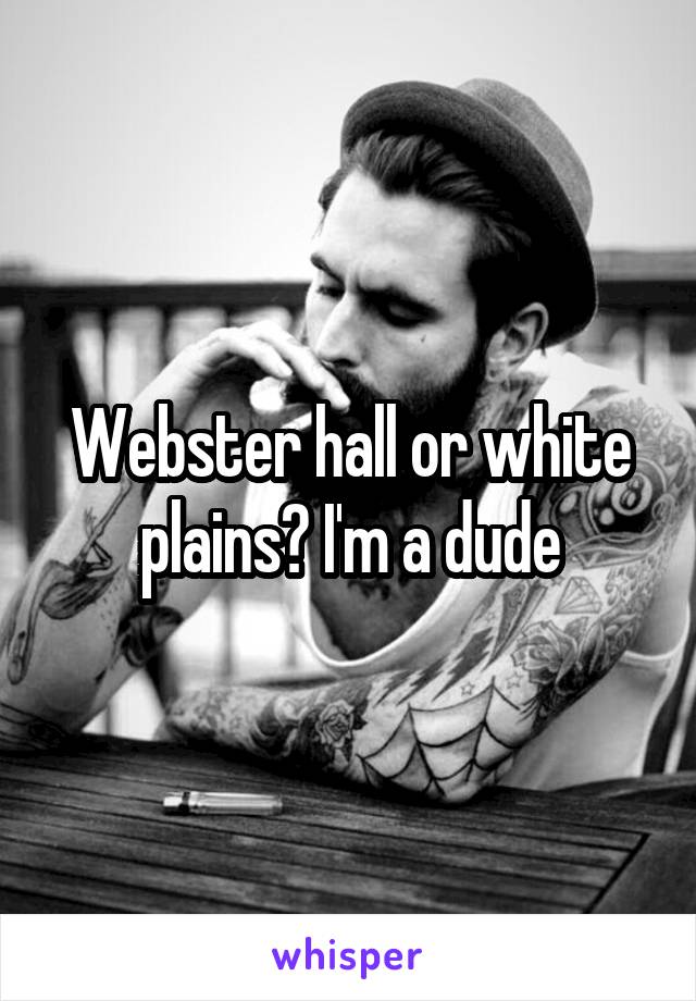 Webster hall or white plains? I'm a dude