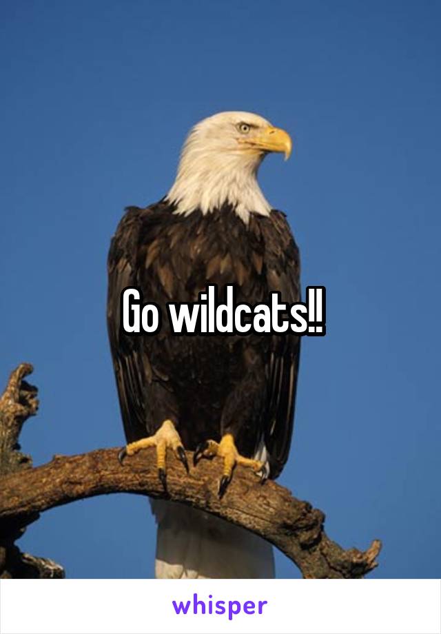 Go wildcats!!