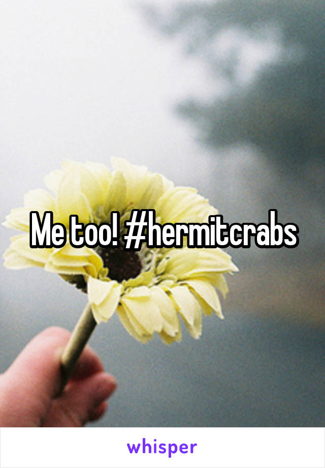 Me too! #hermitcrabs