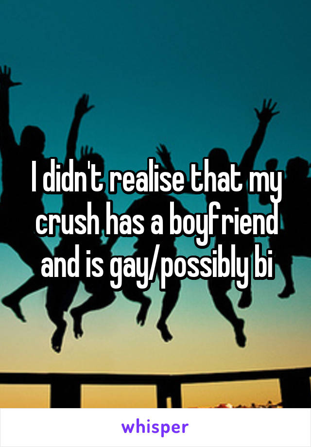 I didn't realise that my crush has a boyfriend and is gay/possibly bi