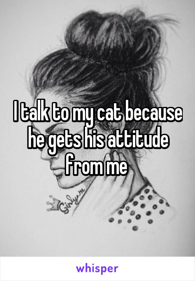 I talk to my cat because he gets his attitude from me 