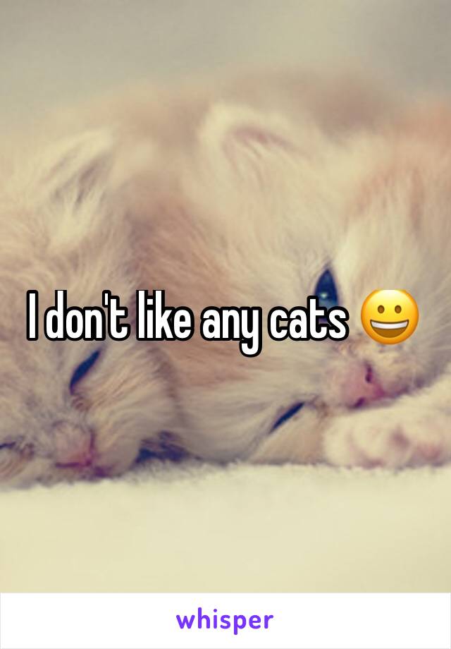 I don't like any cats 😀