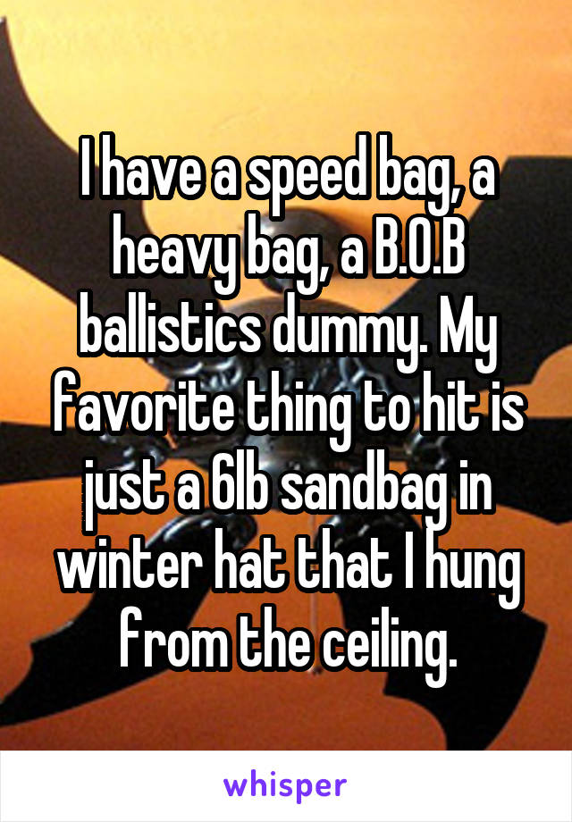 I have a speed bag, a heavy bag, a B.O.B ballistics dummy. My favorite thing to hit is just a 6lb sandbag in winter hat that I hung from the ceiling.