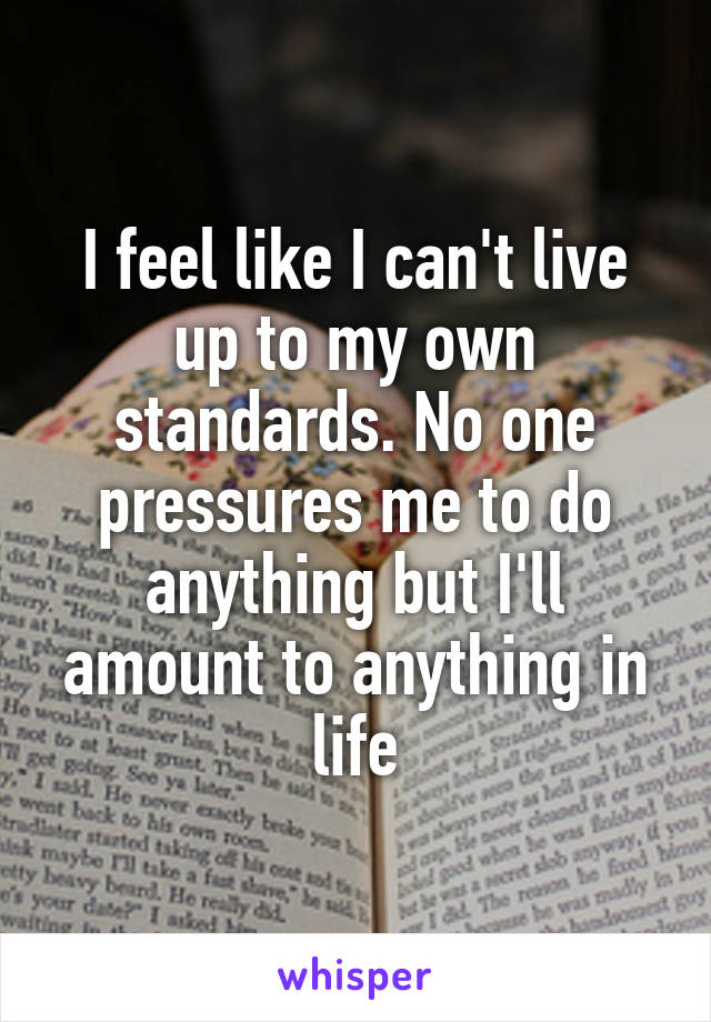 I feel like I can't live up to my own standards. No one pressures me to do anything but I'll amount to anything in life