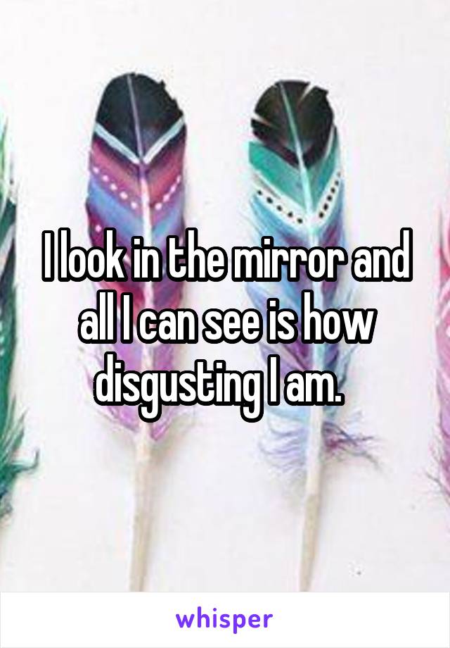 I look in the mirror and all I can see is how disgusting I am.  