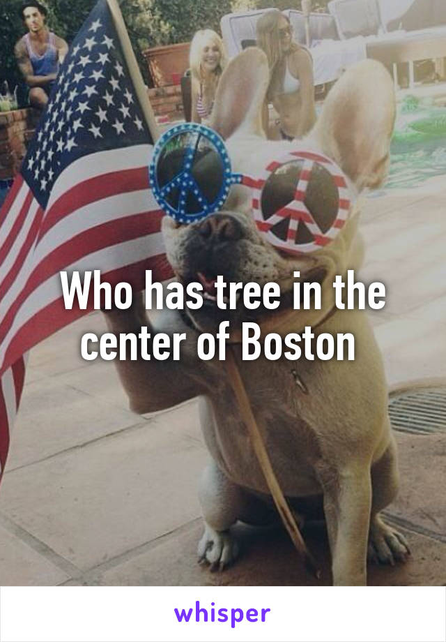 Who has tree in the center of Boston 