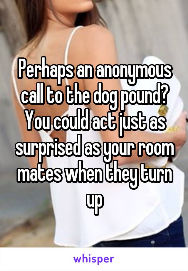 Perhaps an anonymous call to the dog pound? You could act just as surprised as your room mates when they turn up