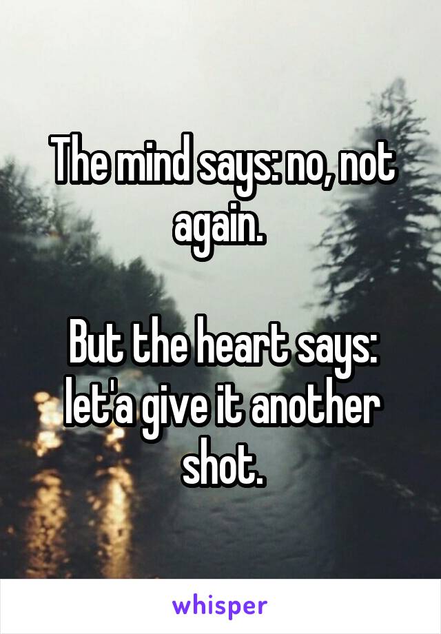 The mind says: no, not again. 

But the heart says: let'a give it another shot.