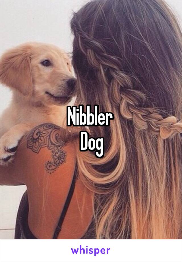 Nibbler 
Dog