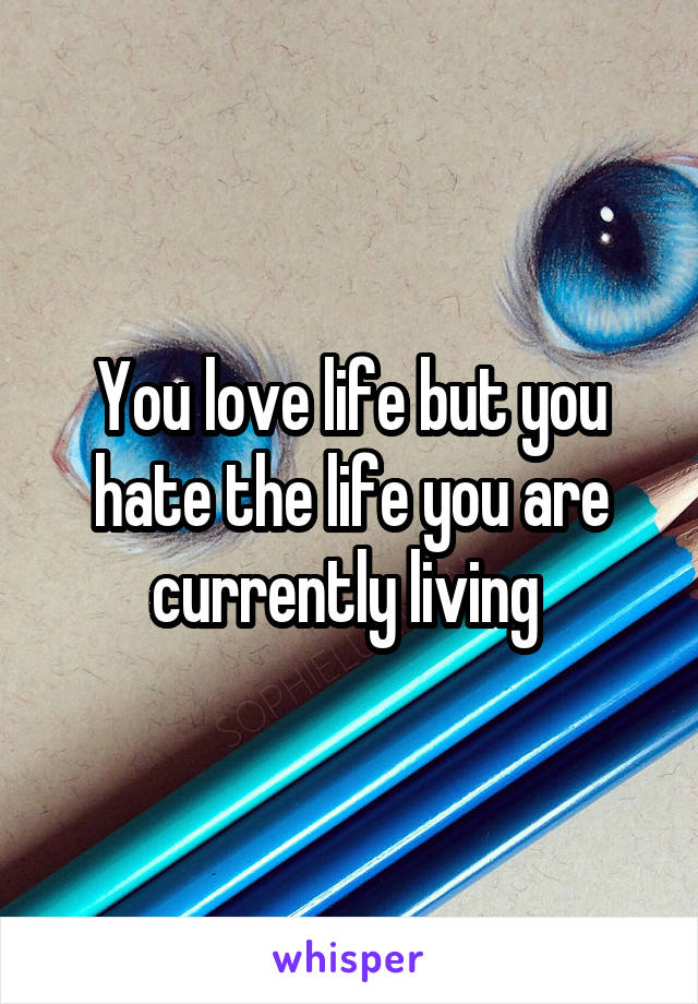 You love life but you hate the life you are currently living 