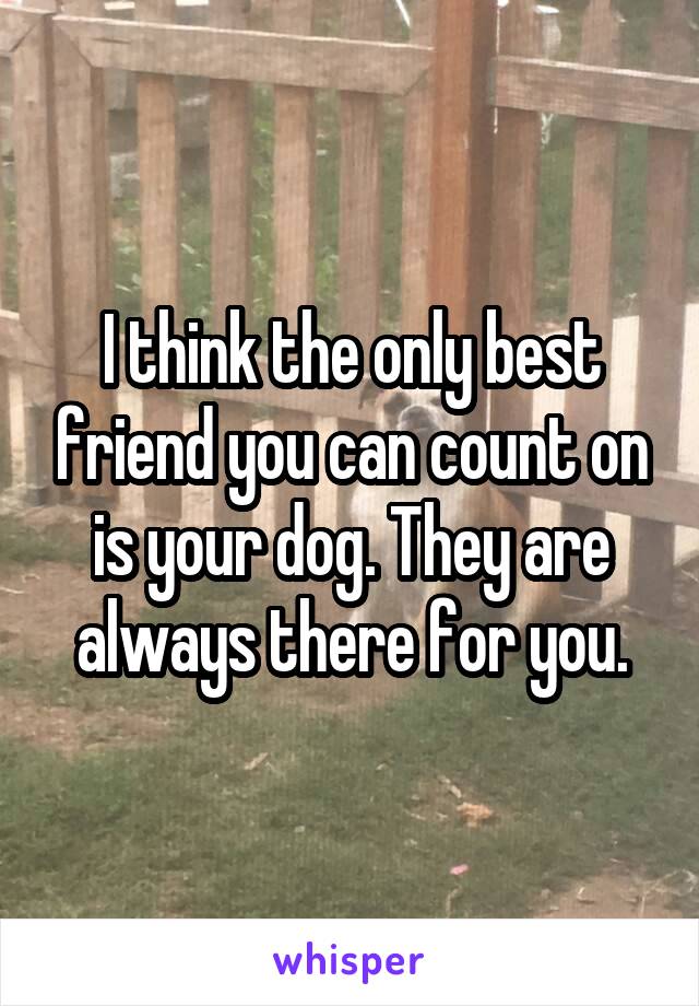 I think the only best friend you can count on is your dog. They are always there for you.