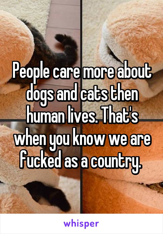 People care more about dogs and cats then human lives. That's when you know we are fucked as a country. 