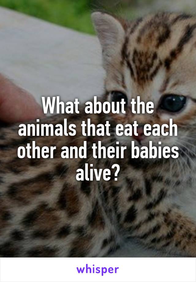 What about the animals that eat each other and their babies alive?