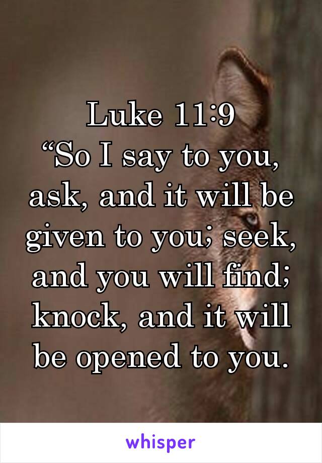 Luke 11:9
“So I say to you, ask, and it will be given to you; seek, and you will find; knock, and it will be opened to you.