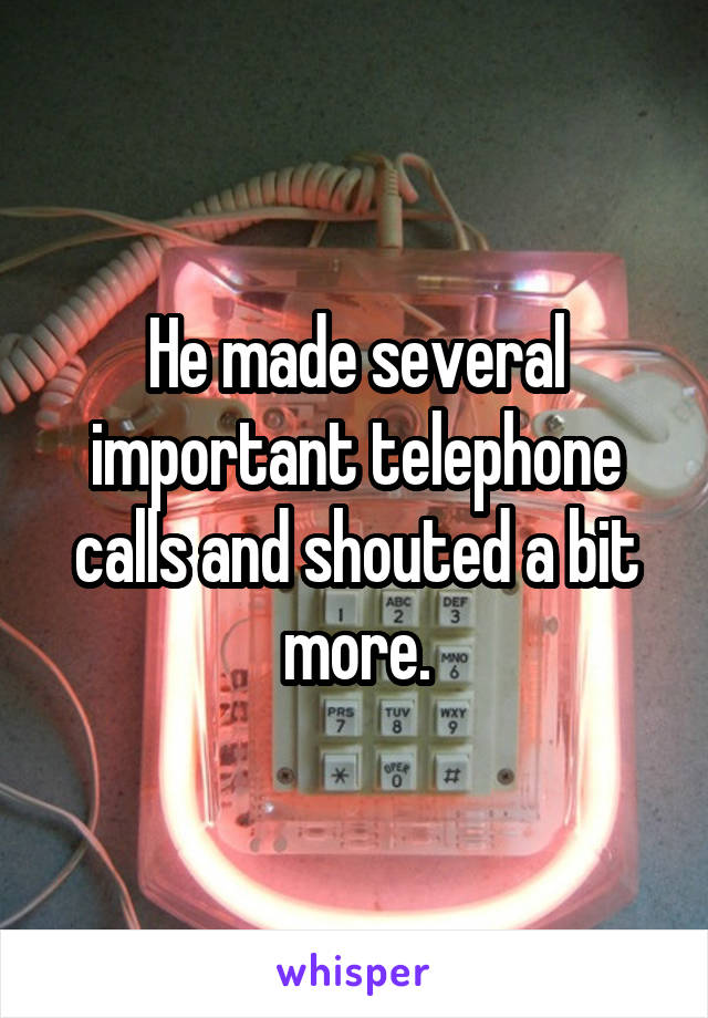 He made several important telephone calls and shouted a bit more.