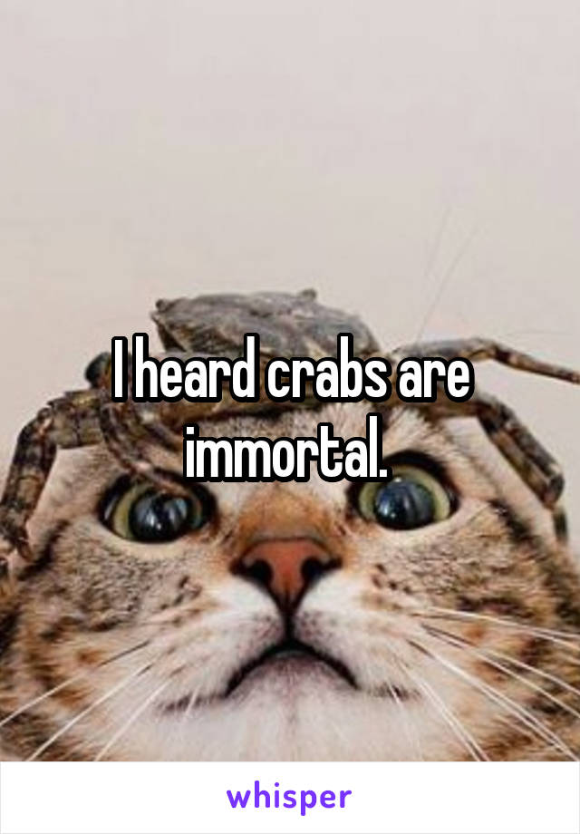 I heard crabs are immortal. 