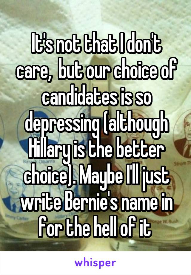 It's not that I don't care,  but our choice of candidates is so depressing (although Hillary is the better choice). Maybe I'll just write Bernie's name in for the hell of it 