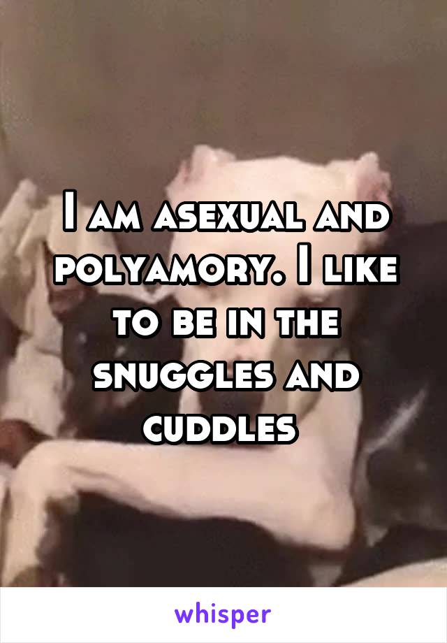 I am asexual and polyamory. I like to be in the snuggles and cuddles 