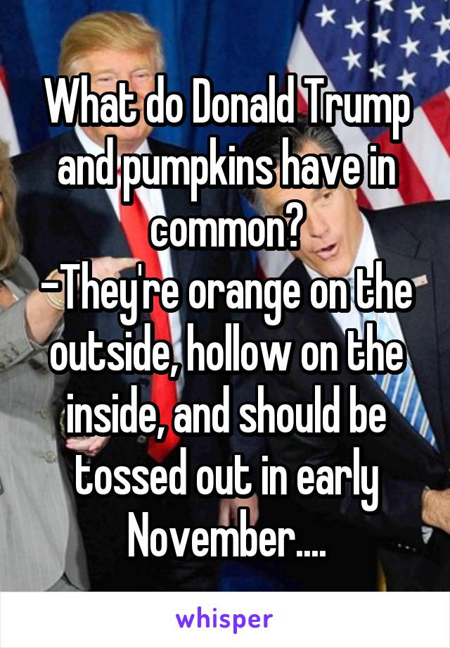 What do Donald Trump and pumpkins have in common?
-They're orange on the outside, hollow on the inside, and should be tossed out in early November....