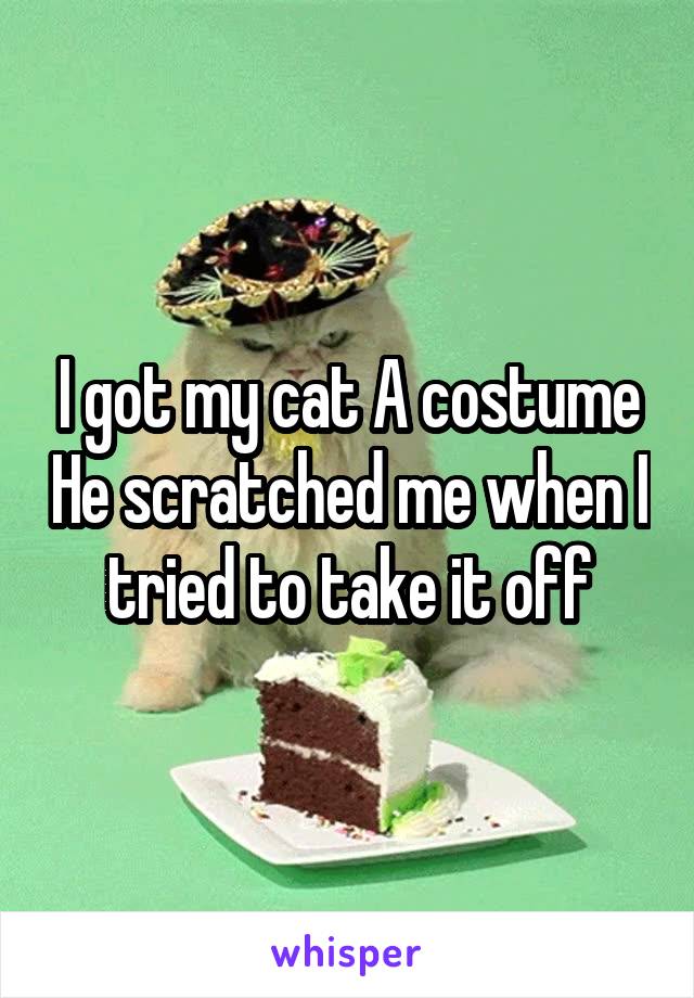 I got my cat A costume He scratched me when I tried to take it off