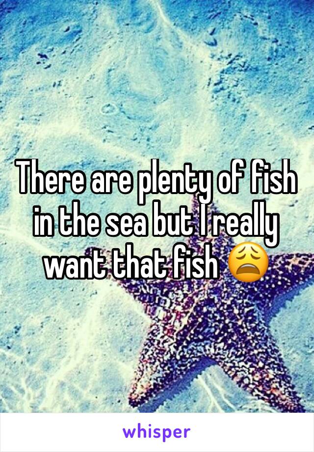 There are plenty of fish in the sea but I really want that fish 😩