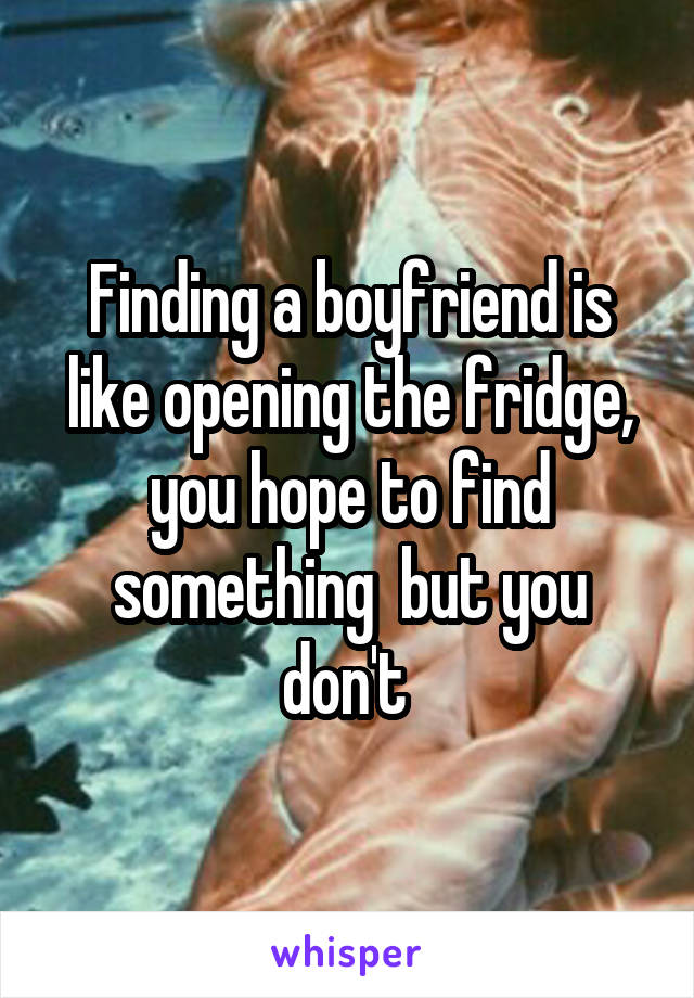 Finding a boyfriend is like opening the fridge, you hope to find something  but you don't 