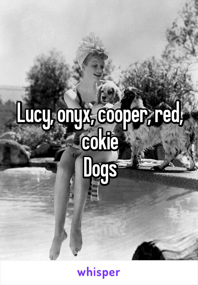 Lucy, onyx, cooper, red, cokie
Dogs