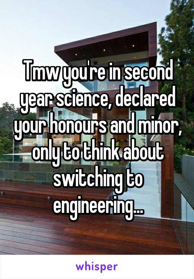 Tmw you're in second year science, declared your honours and minor, only to think about switching to engineering...