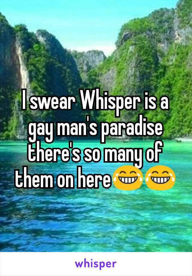 I swear Whisper is a gay man's paradise there's so many of them on here😂😂