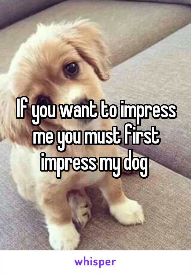 If you want to impress me you must first impress my dog 