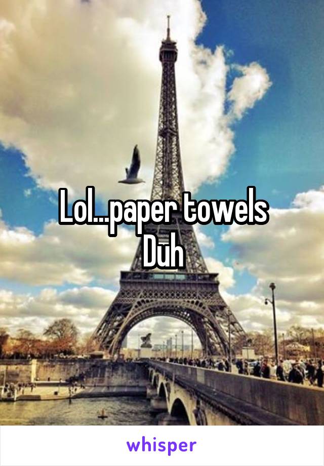Lol...paper towels
Duh