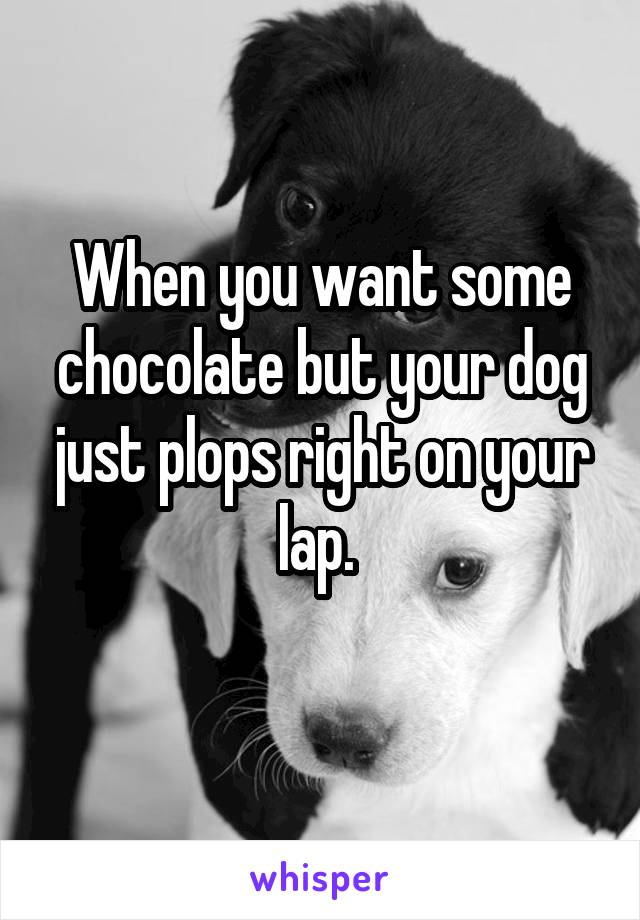 When you want some chocolate but your dog just plops right on your lap. 
