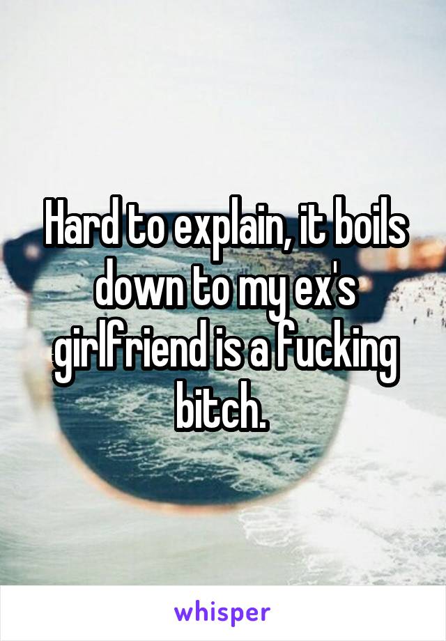 Hard to explain, it boils down to my ex's girlfriend is a fucking bitch. 