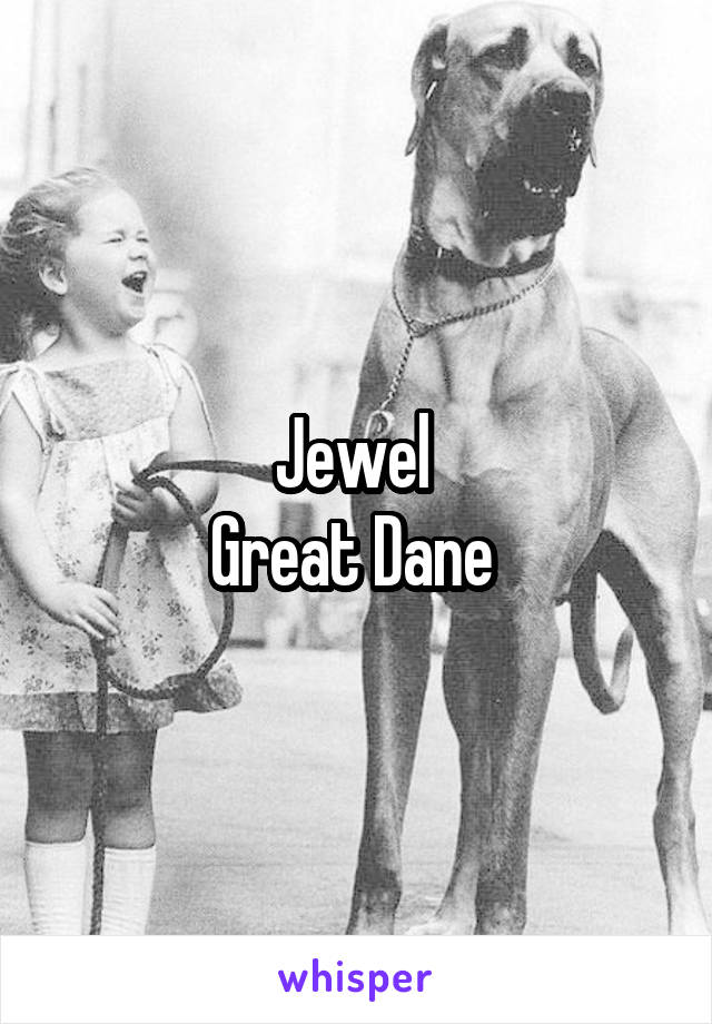 Jewel 
Great Dane 