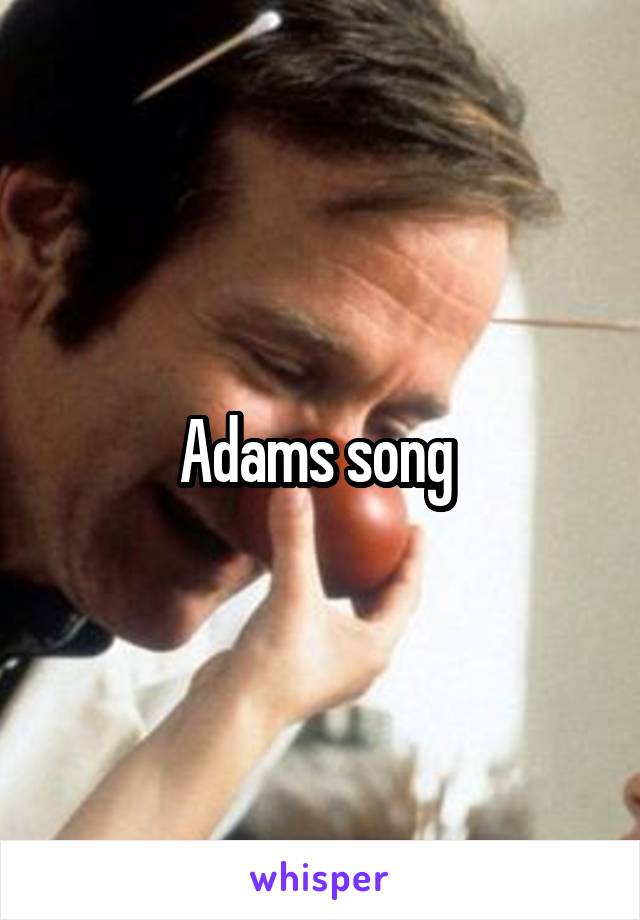 Adams song 
