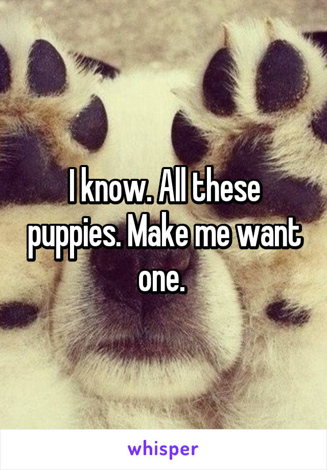 I know. All these puppies. Make me want one. 