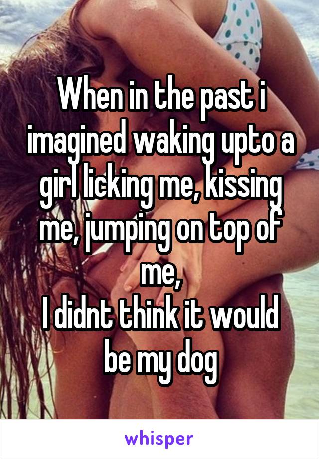 When in the past i imagined waking upto a girl licking me, kissing me, jumping on top of me,
I didnt think it would be my dog