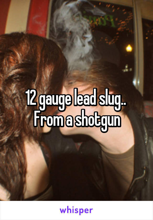 12 gauge lead slug.. 
From a shotgun