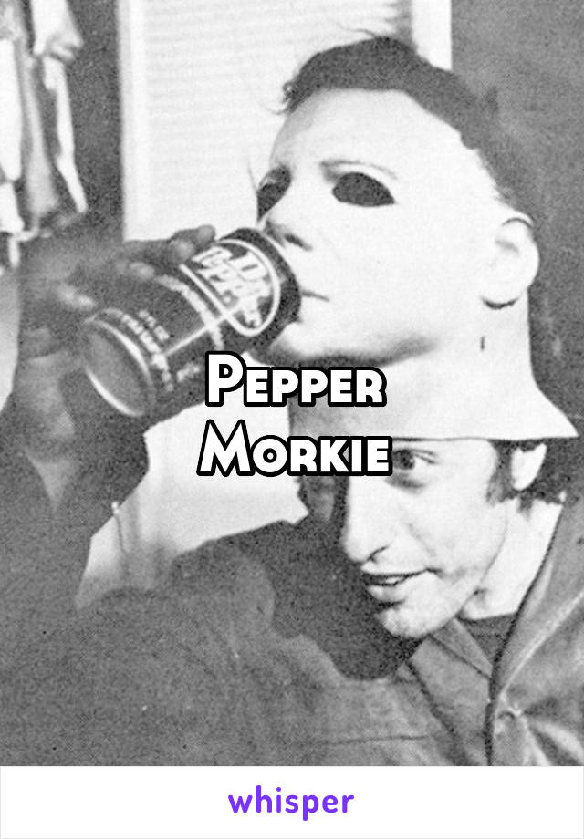 Pepper
Morkie