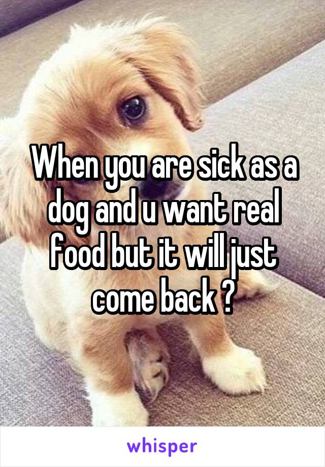 When you are sick as a dog and u want real food but it will just come back 🙄