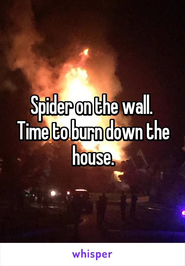 Spider on the wall. 
Time to burn down the house.