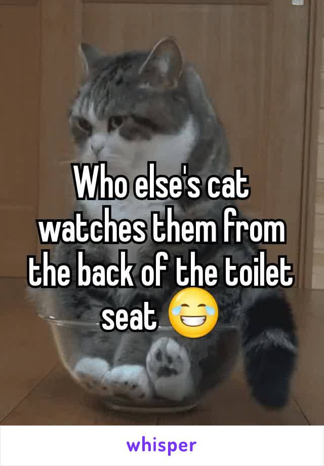 Who else's cat watches them from the back of the toilet seat 😂